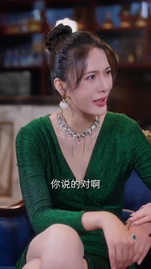 贺夫人每天都在想离婚（90集）热播短剧重燃