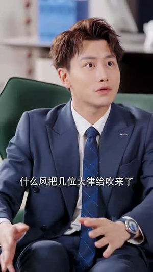 不法禁区（60集）解说