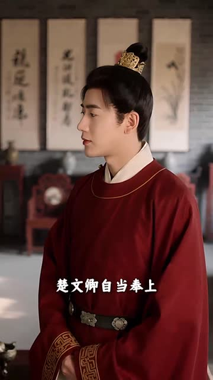 权谋之帝王心术（15集）短剧免费看全集