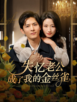失忆老公成了我的金丝雀短剧（62集剧情短剧高清流畅观看体验）