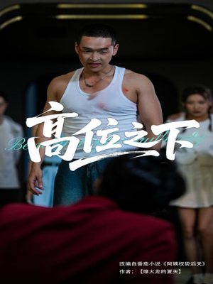 高位之下短剧（65集商战悬疑短剧高清无广告观看）