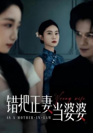 错把正妻当婆婆短剧（46集温馨家庭短剧高清资源在线观看）