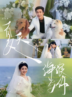 夏天，海浪与你短剧（76集海边度假短剧全集高清在线一睹为快）