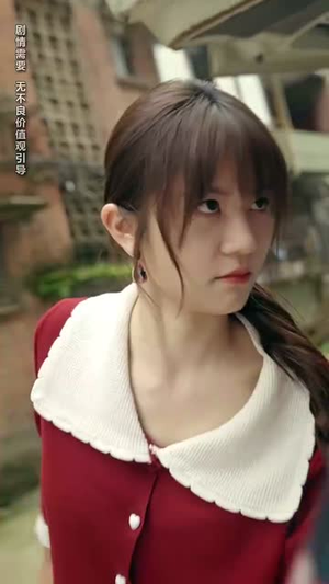 坐了10年牢的陆家大姑娘回来了（66集）演员表