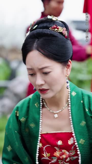 自古功名属少年（61集）最热短剧推荐