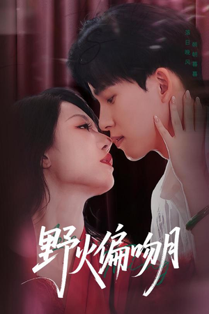 野火偏吻月短剧（51集情感短剧精彩剧情不容错过）