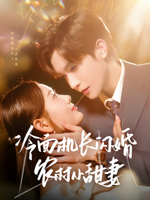 冷面机长闪婚农村小甜妻短剧（73集剧情短剧无广告流畅播）