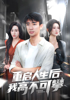 重启人生后我高不可攀短剧（73集都市情感短剧完整版在线畅看）