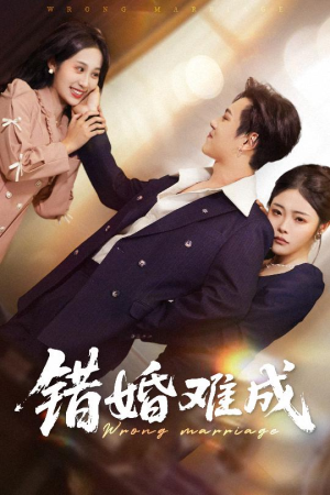 错婚难成短剧（45集婚恋伦理短剧精彩剧情在线畅览）