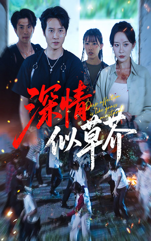 深情似草芥短剧（51集言情短剧精彩片段抢先看）