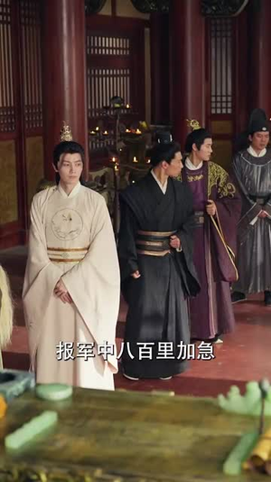 医妃被弃后，我的诊金是江山短剧（80集宫廷短剧精彩剧情不容错过）