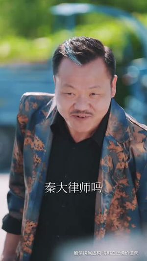 以法之名罪无可赦（60集）真的太好看了