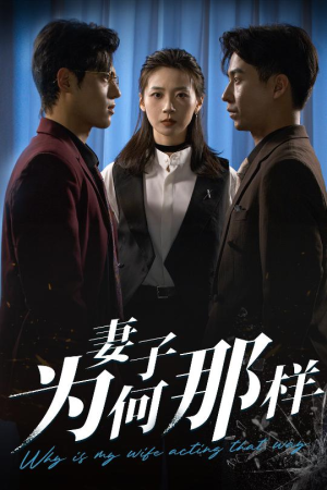 妻子为何那样短剧（60集剧情短剧高清流畅在线观看）