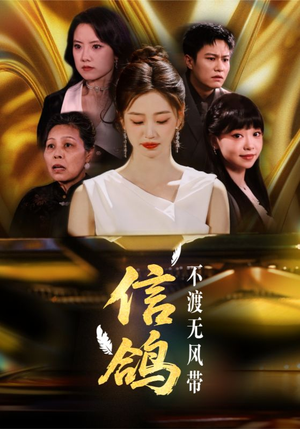 信鸽不渡无风带短剧（65集悬疑短剧高清完整版在线欣赏）