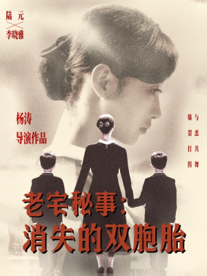 老宅秘事消失的双胞胎短剧（90集推理短剧高清流畅在线播）