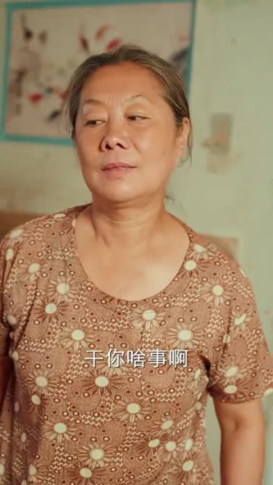 重生90年代小村庄（81集）免费短剧看不停