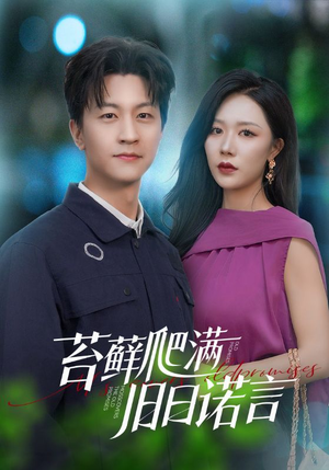 苔藓爬满旧日诺言短剧（83集往事短剧高清版在线免费看）