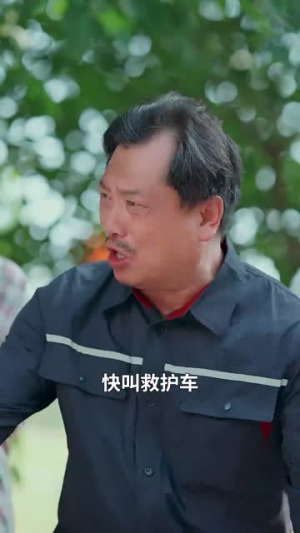 恰似流年不堪数（70集）1-102集