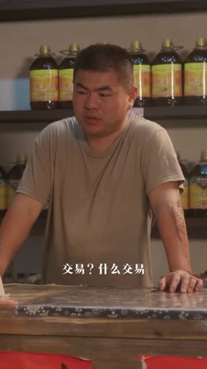 盐城往事（40集）全集免费看短剧