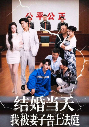 结婚当天我被妻子告上法庭短剧（30集都市短剧高清全集在线看）