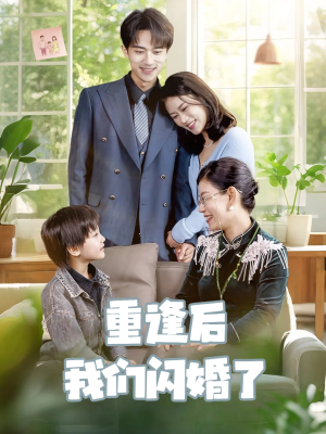 重逢后我们闪婚了短剧（35集婚姻短剧高清完整版在线播放）