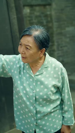 老太太重生七零幸福全家（64集）无需会员免费看