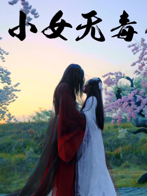 小女无毒短剧（14集权谋短剧高清画质在线观看体验）