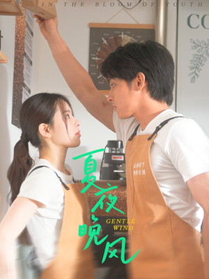 夏夜晚风短剧（12集治愈系短剧在线观看完整版）