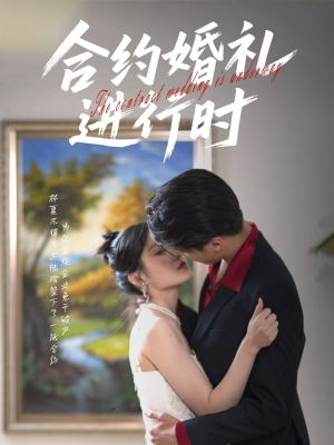合约婚礼进行时短剧（30集甜蜜短剧高清版在线畅看）