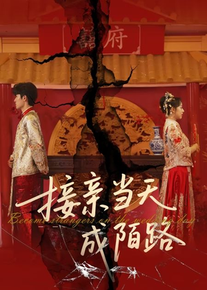 接亲当天成陌路短剧（50集剧情短剧高清资源在线观看）