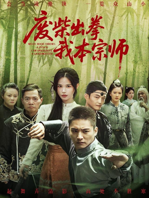 废柴出拳我本宗师短剧（61集热血励志短剧高清全集在线畅看）