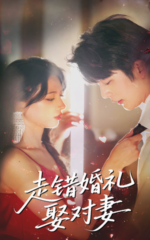 走错婚礼娶对妻短剧（60集情感纠葛短剧高清完整版在线播）