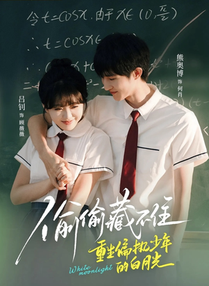 偷偷藏不住重生偏执少年的白月光短剧（80集重生短剧高清全集在线观看）