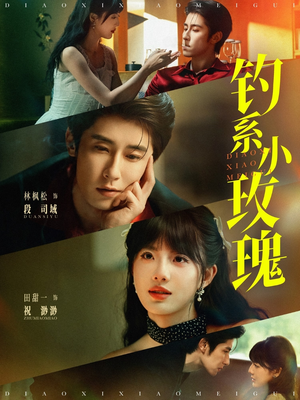 钓系小玫瑰短剧（82集言情短剧全集剧情在线回味）