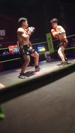 再见拳王老爸短剧（58集家庭短剧全集在线观看无广告）