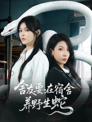 舍友要在宿舍养野生蛇短剧（60集都市奇闻短剧高清震撼在线看）