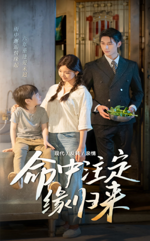 命中注定缘归来短剧（63集情感短剧全集免费观看）