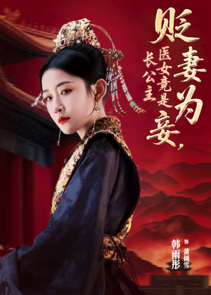 贬妻为妾医女竟是长公主短剧（80集宫廷斗争短剧精彩片段集锦）