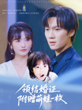 领结婚证附赠萌娃一枚短剧（53集家庭伦理短剧全集在线免费看）
