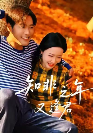 知非之年又逢君短剧（62集熟龄爱情短剧高清完整版在线欣赏）