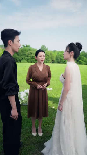 饲养夜色（86集）免费短剧全集看