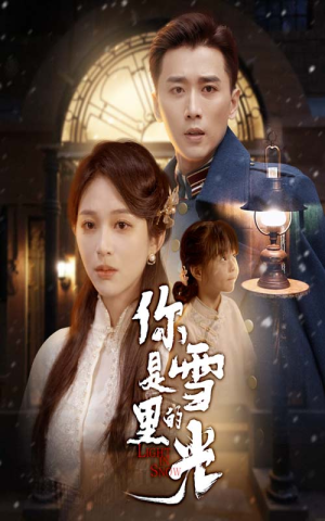 你是雪里的光短剧（64集治愈系短剧在线观看无广告）