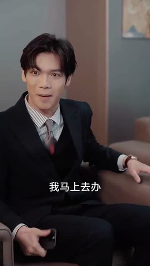 傅先生夫人为何那样（64集）免费在线看全集