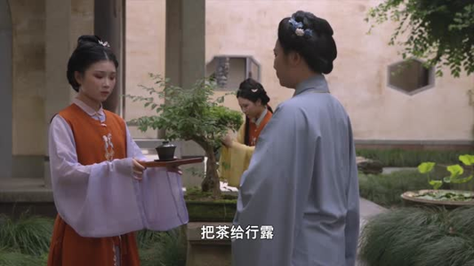 贪生（50集）追短剧关注我