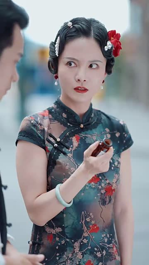 风尘犹浣碧血纱（60集）全集完整版