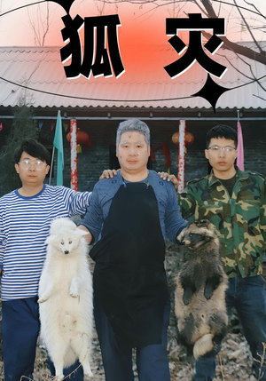 狐灾短剧（25集灵异短剧无广告高清流畅版）