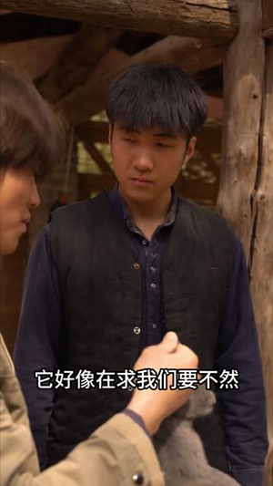 兔灾（25集）在哪看