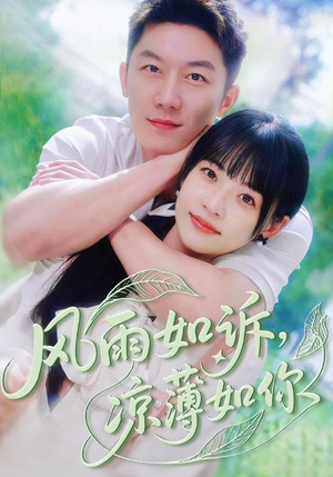 风雨如诉凉薄如你短剧（70集现代爱情短剧精彩剧情不间断观看）