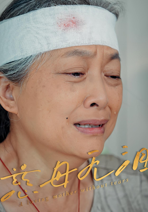 慈母无泪短剧（30集温情短剧感人至深剧情在线看）