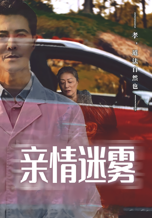 亲情迷雾短剧（30集家庭矛盾短剧高清流畅在线看）